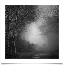 15 - Trans Pennine Trail - Chris Beesley